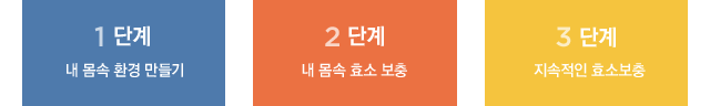 1단계: 내 몸속 환경 만들기, 2단계: 내 몸속 효소 보충, 3단계 : 지속적인 효소보충
