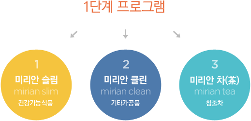 해독 프로그램