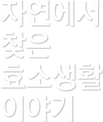 자연에서 찾은 효소생활 이야기