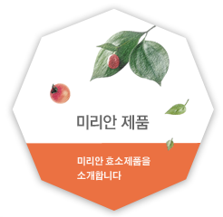 미리안제품