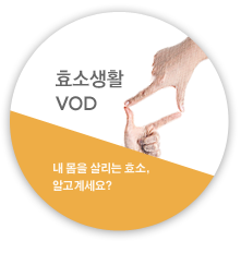 효소생활 vod