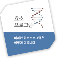 효소프로그램
