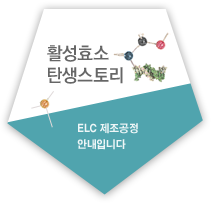 활성효소 탄생스토리