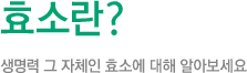 효소란