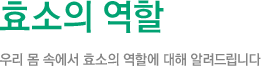 효소의 역할