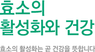 효소의 활성화와 건강