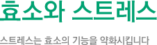 효소와 스트레스