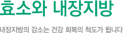 효소와 내장지방