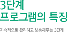 3단계 프로그램의 특징