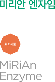 미리안 엔자임