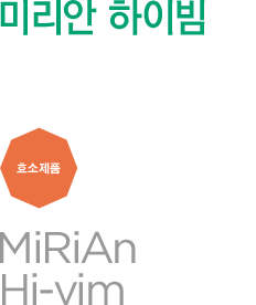 미리안 하이빔