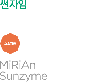썬자임