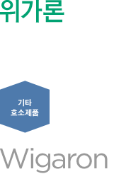 위가론
