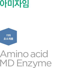 아미자임