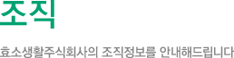 조직